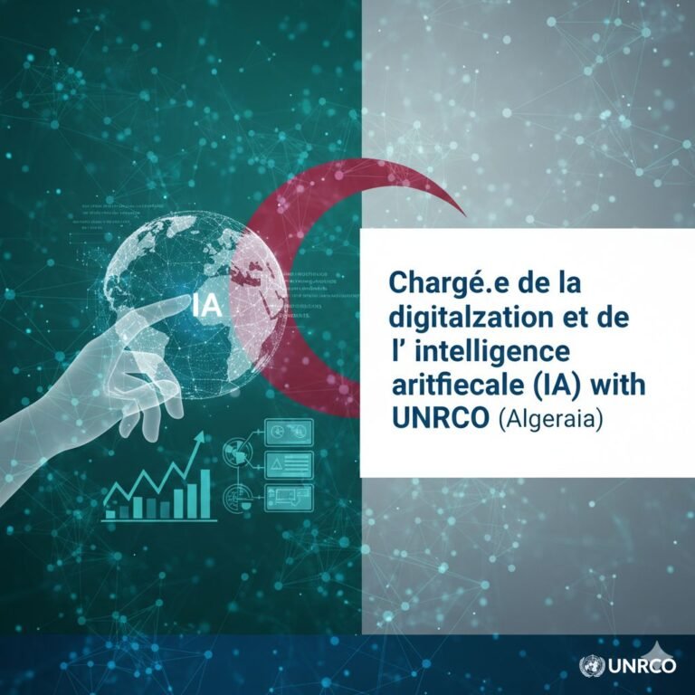 UN Digitalization & AI Officer Job in Algiers - UN Volunteers (UNV)